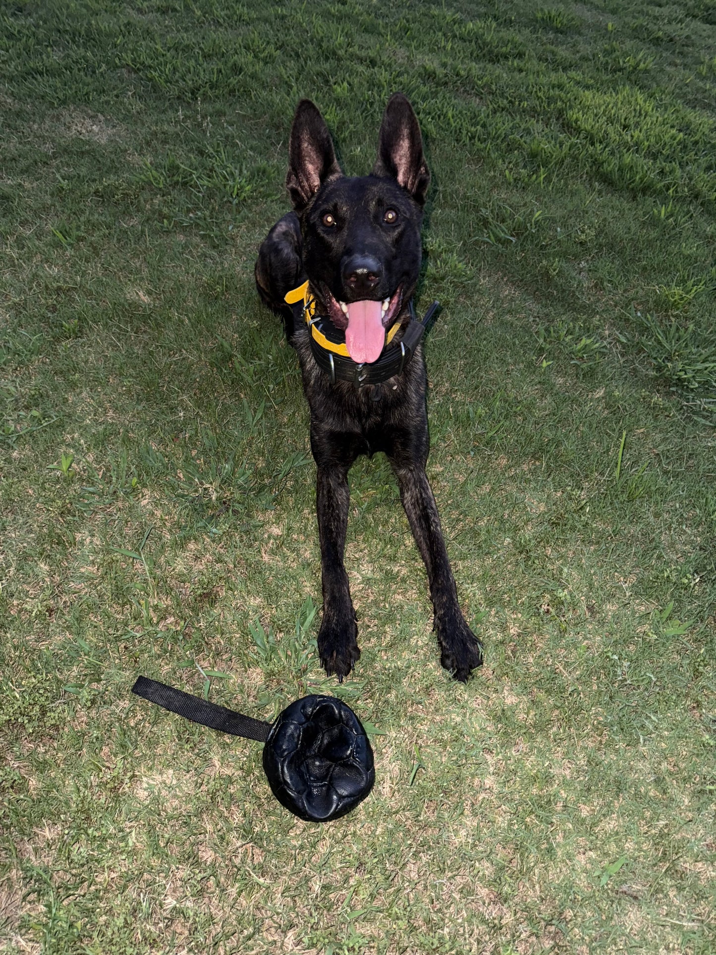 Inflatable Leather Reward Ball