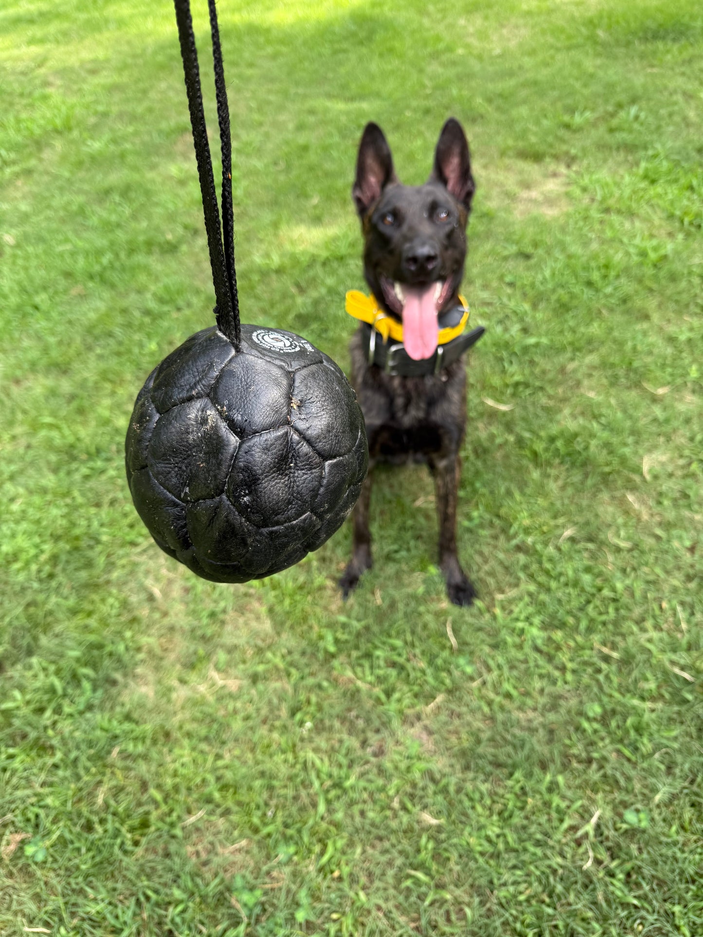 Inflatable Leather Reward Ball