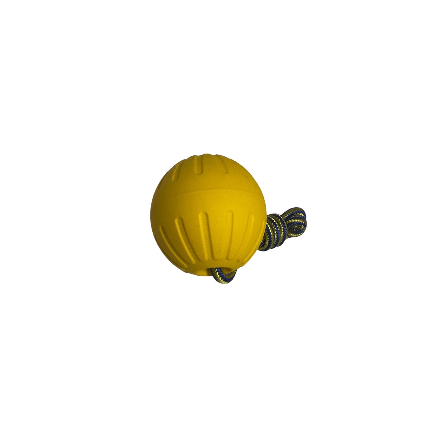 Dog Ball