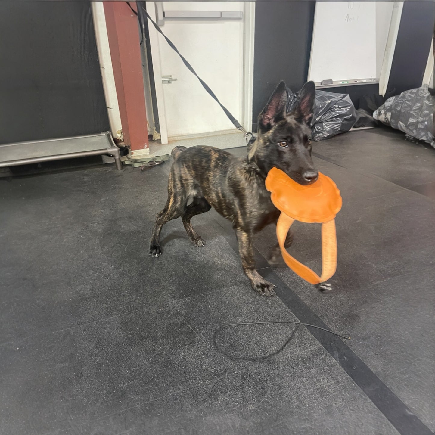 Leather Round Bite Pillow