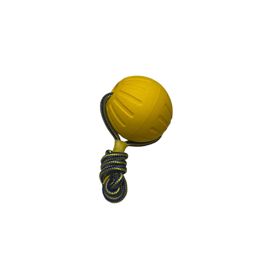 Ball on a Rope