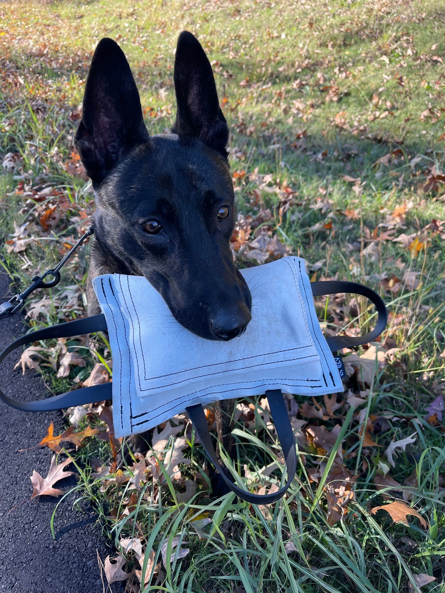 Suede Leather Bite Pillow