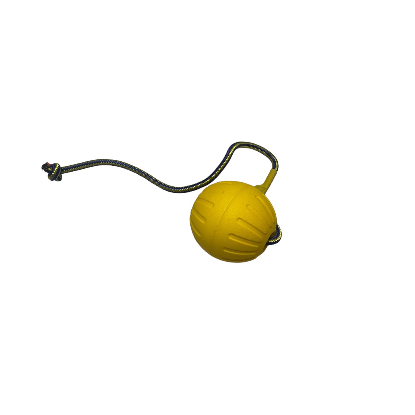 Ball on a Rope