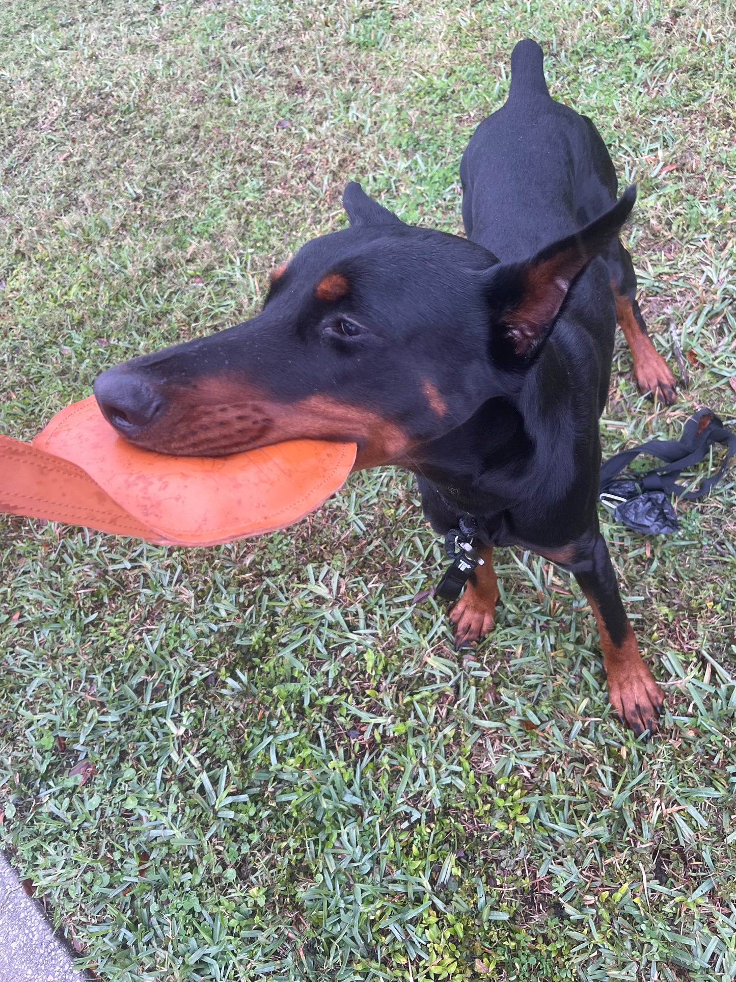 Leather Round Bite Pillow