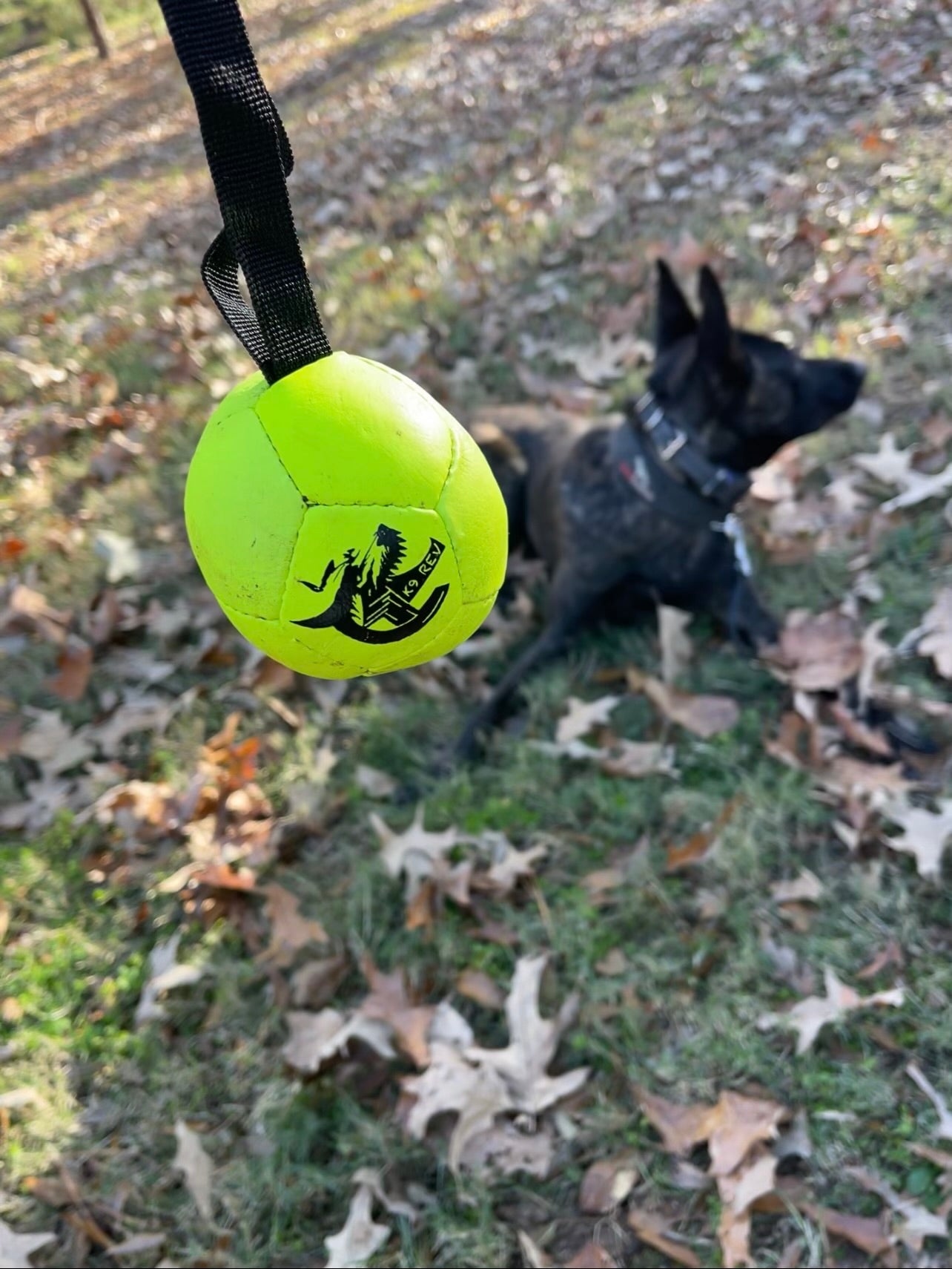 Leather Soccer Ball